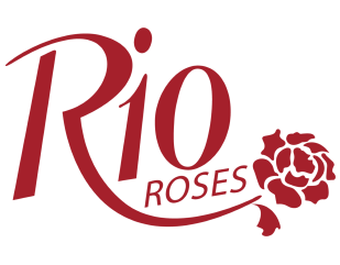 Rio Roses